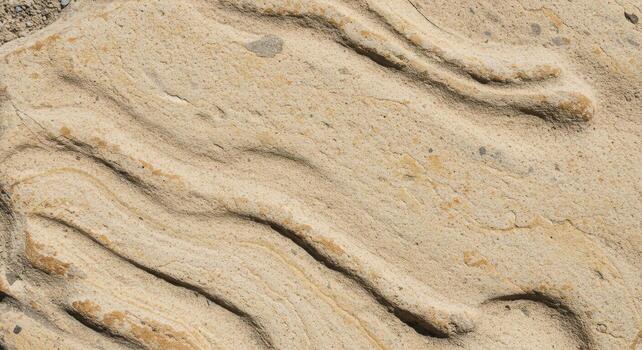 The textured surface of a tan sedimentary rock is revealed with flowing wave like patterns in this macro nature photography example of erosion. photo