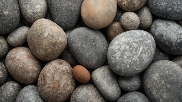 A smooth collection of neutral colored rocks and pebbles fills the frame, creating a naturally textured background of rounded stones. photo