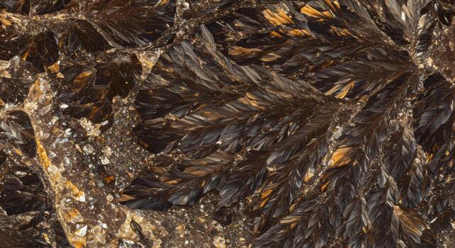 Close-up showcases radiating aggregates of dark brown astrophyllite crystals forming a feather like pattern with a natural artistic texture. photo