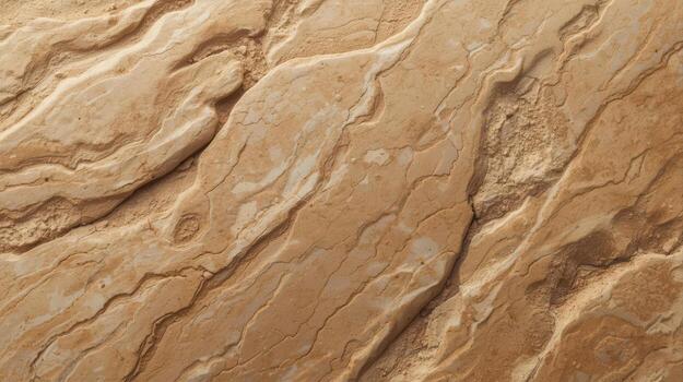 Detailed close up shows layers and textures of a tan rock surface that could be sandstone or a natural stone formation in the desert environment. photo