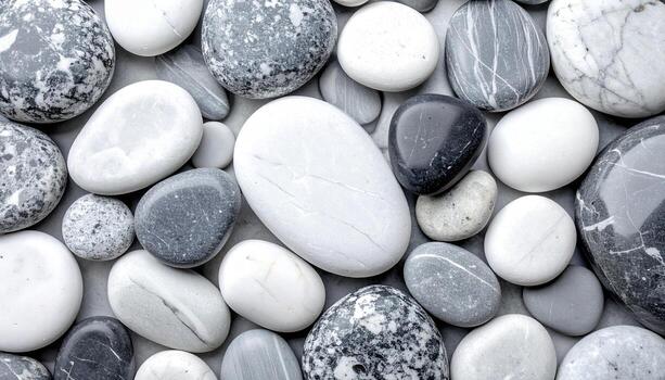 An array of smooth, naturally polished beach pebbles displaying assorted shapes and textures create a pleasing monochromatic background image. photo