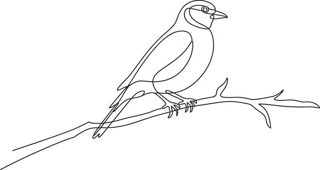 Minimalist line drawing of a small bird perched on a twig vector