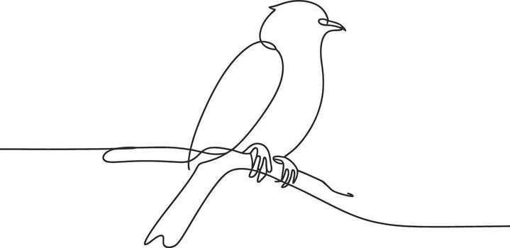 Minimalist single line drawing of a bird perched on a branch vector