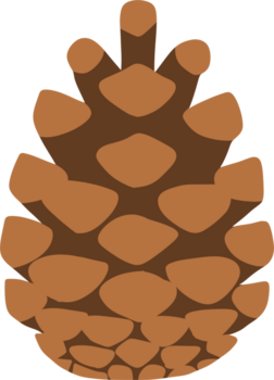Flat design illustration of a pine cone. It uses a limited color palette of browns a darker shade for the underlying structure and a warm, medium brown for the overlapping scales or bracts. png