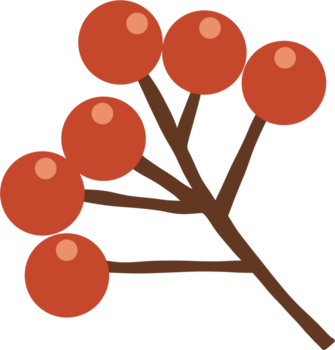 en små klunga av bär på en gren. de bär är ljus, värma röd med en subtil markera till föreslå rundhet. png