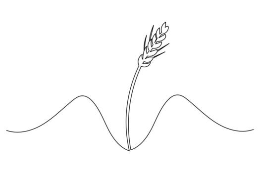 Continuous one line drawing of wheat minimalist sketch design vector