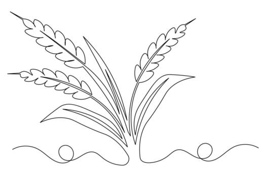 Elegant wheat continuous one line drawing simple artistic sketch vector
