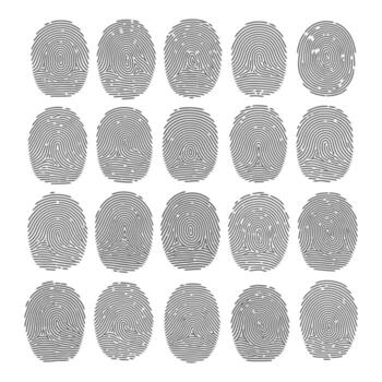 Collection of unique fingerprint patterns showcasing identity security concept art vector