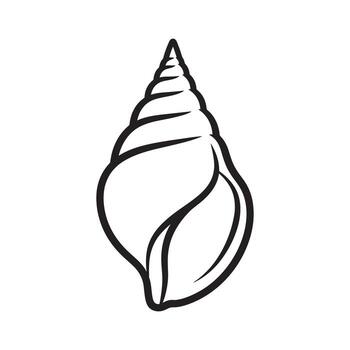 Simple line drawing of a pointed seashell vector