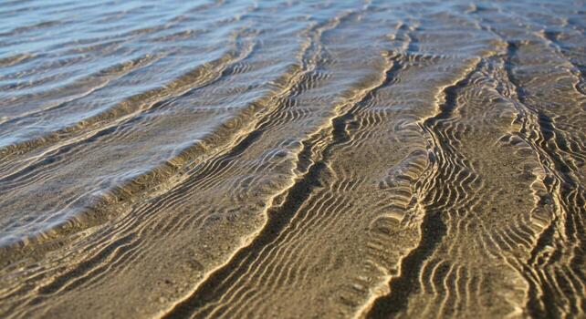 Sunlight refracts through shallow clear water creating rippling patterns on a sandy seabed photo