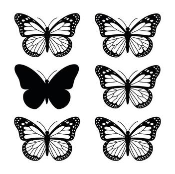 art of collection of six butterfly illustrations, showcasing different patterns and wing designs in a simple and elegant style vector