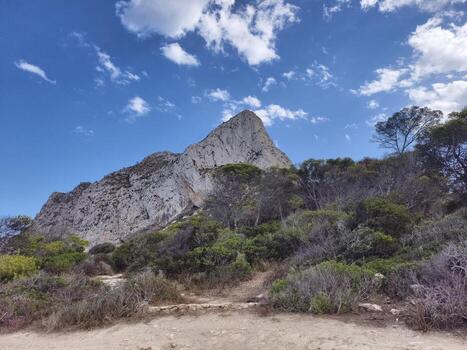 please supply exact text for variation, share precise text so i can generate multiple distinct photo