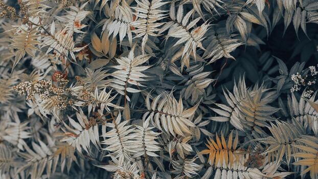 Faded autumn foliage background with fern leaves and earthy tones creating soft layered pattern photo