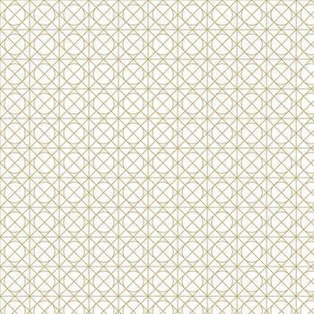 Geometric luxury pattern. Seamless ornamental pattern. Artistic style line pattern background. vector