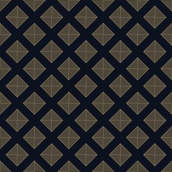 Geometric luxury pattern. Ornamental pattern background. Artistic geometric style dark line pattern background. vector