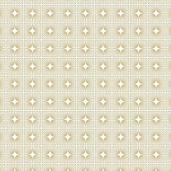 Geometric luxury pattern. Seamless ornamental pattern background. Artistic geometric style dark line pattern background. vector