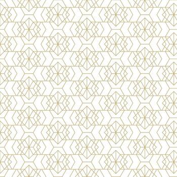 Geometric luxury pattern. Seamless ornamental pattern background. Artistic geometric style line pattern background. vector