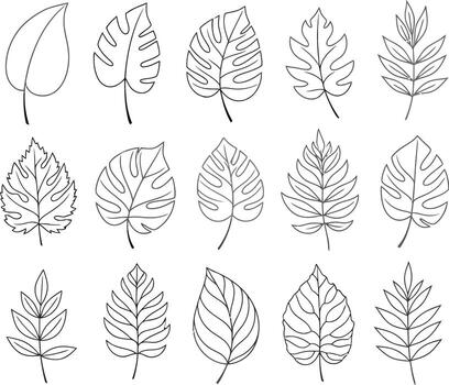 colección de hojas exhibiendo diverso formas y formas encontró en de la naturaleza follaje y botánico elementos vector