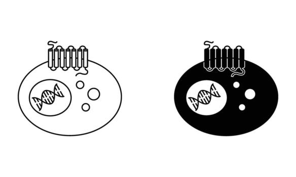 GPCR on a membrane of a cell with DNA in its nucleus icon vector
