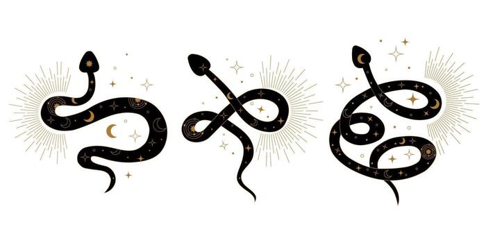 estilizado sagrado serpientes en místico geometría patrones representando Kundalini despertar. simbólico ilustración de energía fluir transformación curación y conexión a adivinar fuente. vector