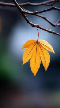 Golden autumn leaf hanging from branch. A vibrant golden leaf dangles from a bare branch against a blurred background, showcasing autumn beauty. photo