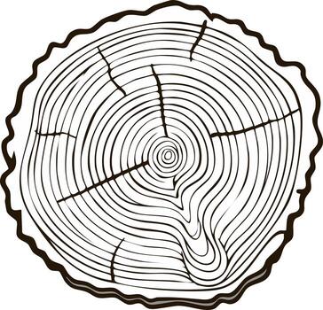 illustration of a cross section of a tree trunk with annual rings vector