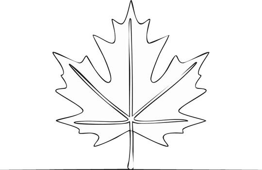 Maple Leaf Outline Drawing Showing Veins Structure Maple Tree Leaf vector