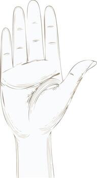Sketch of a Hand Open in a Gesture of Acceptance Support or Request vector