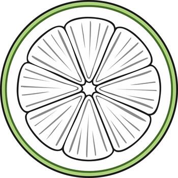 Sliced lime drawing. Citrus fruit segment with green border graphic illustration vector