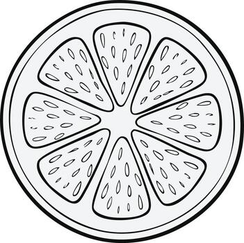 Black and white outline of a citrus fruit slice with segmented pulp and seeds vector