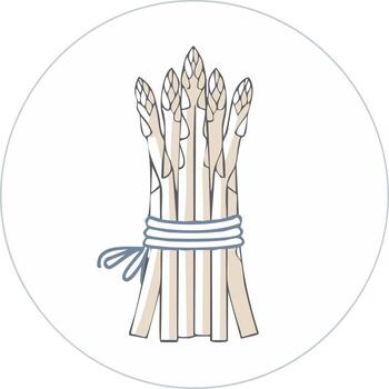 gráfico ilustración de un haz de Fresco espárragos atado con cadena, redondo antecedentes vector