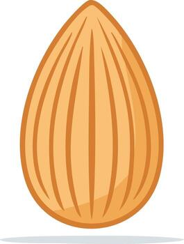 Illustration of a single almond nut with detailed shell ridges on a white background vector