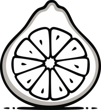Monochrome outline illustration of a sliced lemon or citrus fruit segment showing seeds for design vector