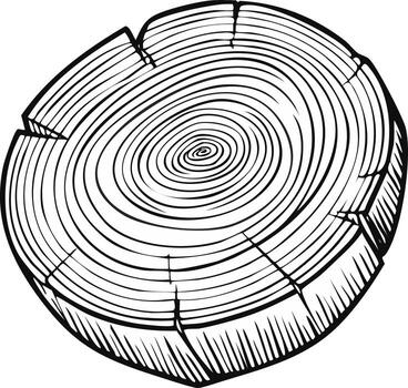 Detailed illustration of a tree trunk cross section showing growth rings and bark texture vector
