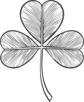 Elegant hand drawn shamrock illustration with linear texture and a subtle curve vector