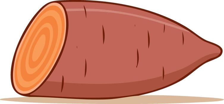 illustration of a ripe orange sweet potato with visible layers cut open showing its texture vector