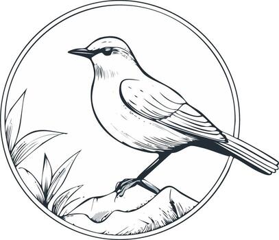 Bird resting on a rock within a circular frame, next to lush green blades, detailed line art of nature's beauty, creating a harmonious composition vector