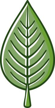 Stylized green leaf illustration on white with clear midrib and veins for nature concepts vector