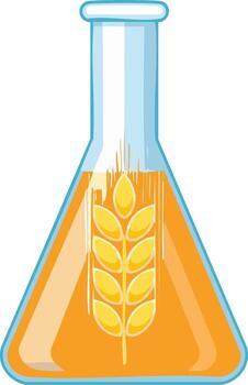 Wheat Science Experiment in Flask with Amber Liquid vector
