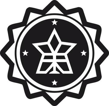 Abstract star emblem with geometric pattern and surrounding starburst shape vector