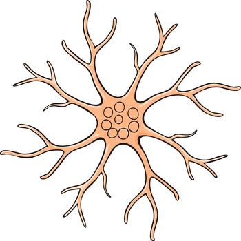 Stylized Neuron Cell with Dendrites and Cell Body Representing Brain Function, Biological Illustration vector