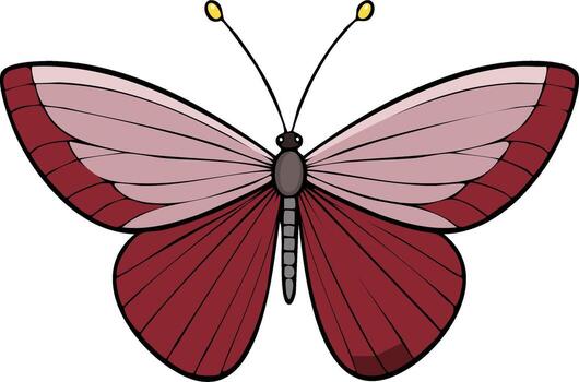 Symmetrical drawing of an elegant butterfly with red and pink patterned wings vector