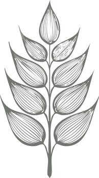 Elegant botanical illustration of a wheat stalk with stylized kernels and intricate line work detailing vector
