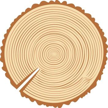 cruzar sección de un árbol maletero demostración crecimiento anillos y ladrar vector