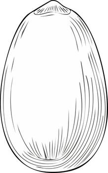 Illustration of an Acorn on a White Background with Sketch Style Texture and Outline vector