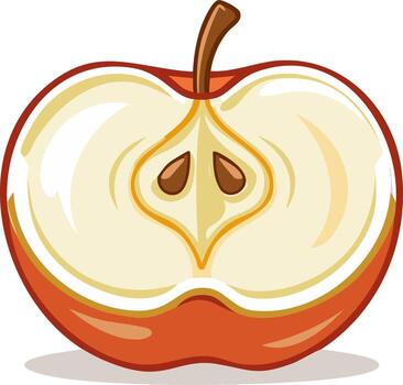 Half of a red apple with visible seeds and stem, rendered in a clean illustration style vector