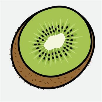 illustration of a sliced kiwi fruit with seeds and texture vector