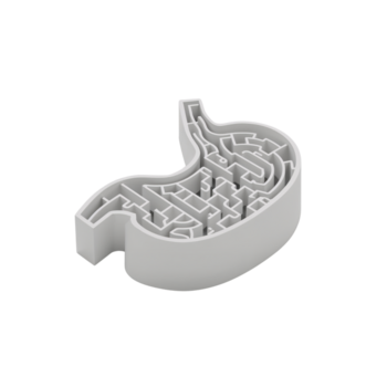 intrincado gástrico labirinto, uma conceptual representação do digestivo complexidade em uma avião configuração png