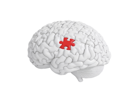 concettuale cervello modello evidenziazione risoluzione dei problemi e conoscitivo funzione rappresentazione isolato png