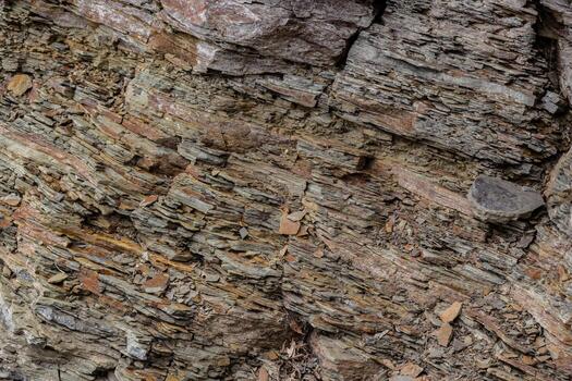 Most of the rocks exposed at the surface of Earth are sedimentary rock. Sedimentary rocks are formed particle by particle and bed by bed, and the layers are piled one on top of the other photo